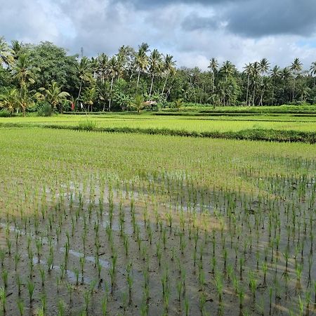 New 4 Bedroom Villa Surrounded By Jungle And Ricefields Ubud Extérieur photo